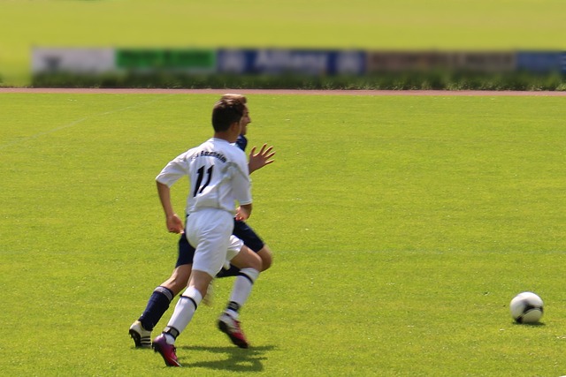 这种阵容的 这种阵容的