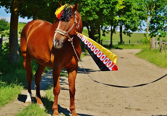 一个空洞的 一个空洞的