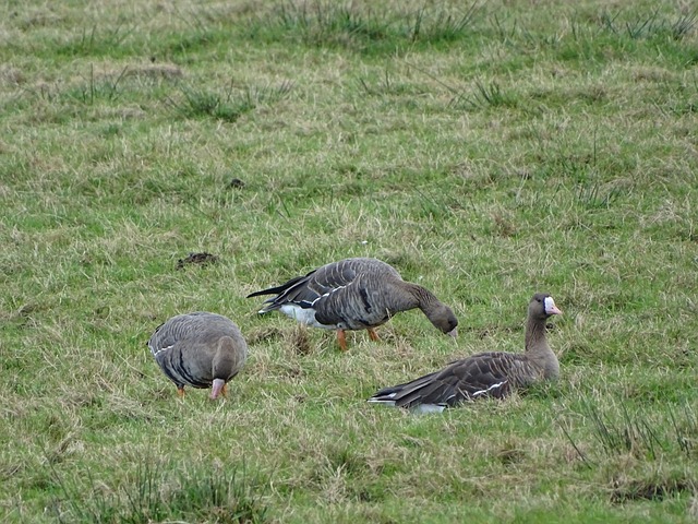 未来的道路 未来的道路