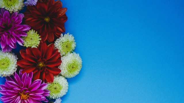 乔丹在篮球 乔丹在篮球